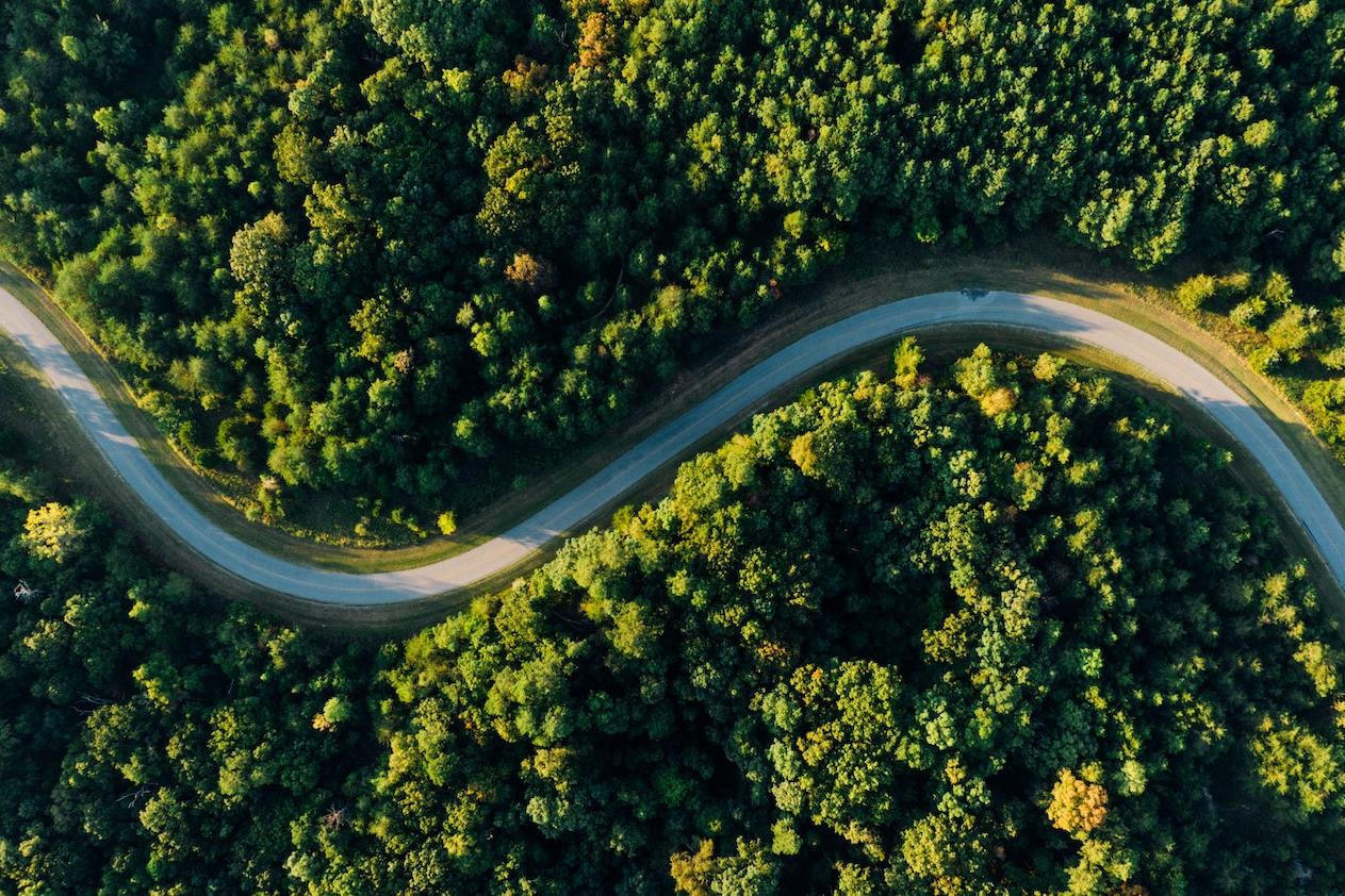 aerial shot of a road winding through a forest - forest conservation funding for Indigenous peoples